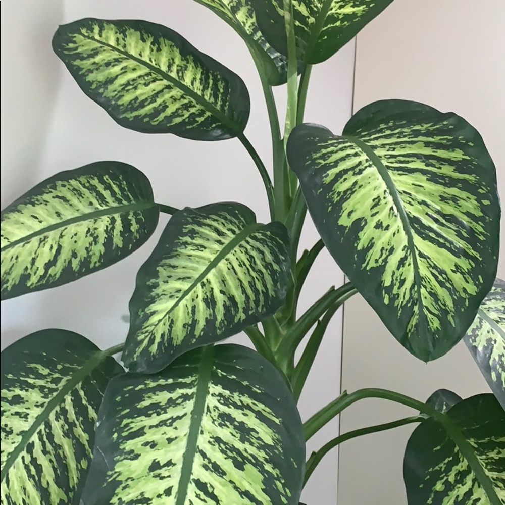 Meet your Posher, Olga